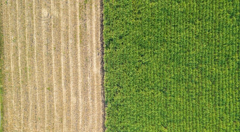 Οrganic Waste in Cyprus: From Delay to an Opportunity for Real Change