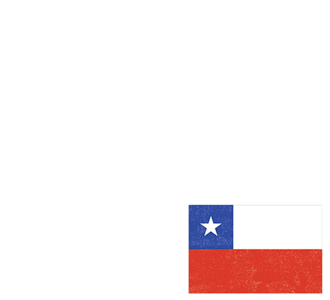 Chile is the world's second most dynamic economy